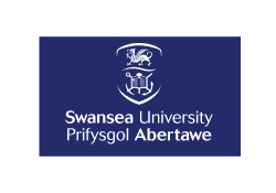 Swansea University 